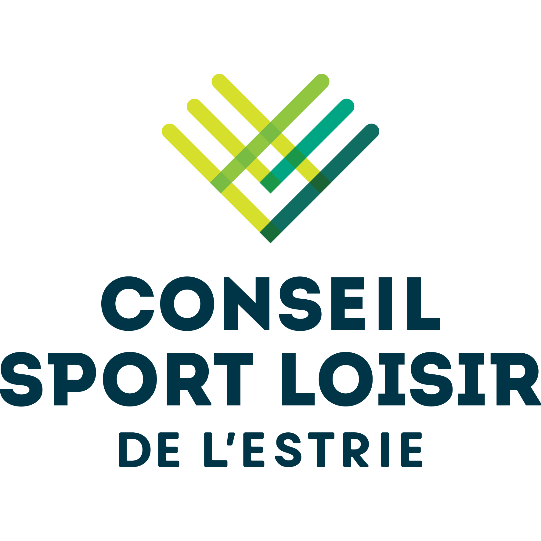 Logo_CSLE_Couleur